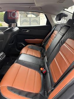 رينو تلسمان